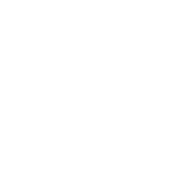 Lifetime Support
